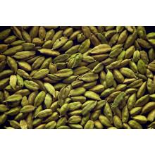 Кардамон плоды сушеные, 50 гр. (Гватемала)